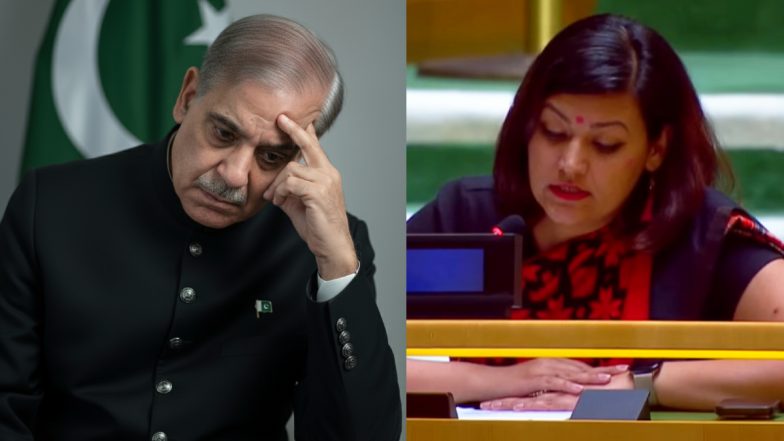 'भारत में आतंकी हमलों का जिम्मेदार पाकिस्तान है', संयुक्त राष्ट्र में भारत ने शहबाज शरीफ को खूब सुनाया