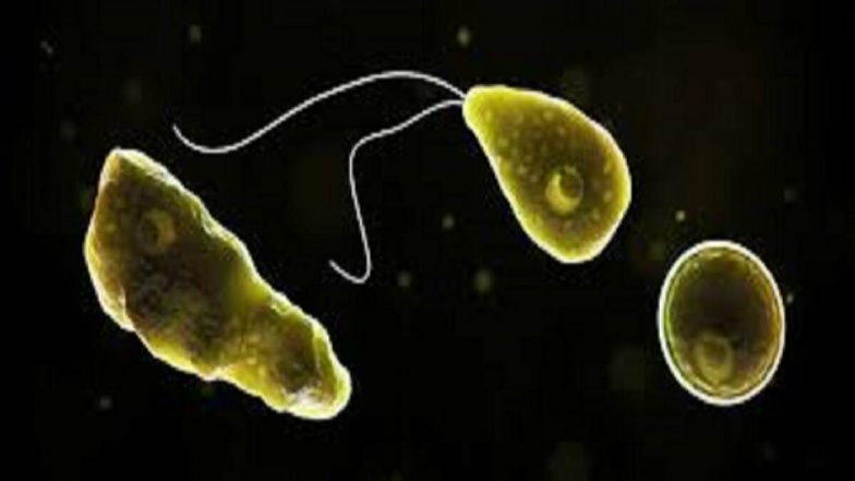 सावधान! केरल में 'Brain Eating Amoeba' का बढ़ रहा प्रकोप, Amebic Meningoencephalitis के नए मामले से मचा हड़कंप