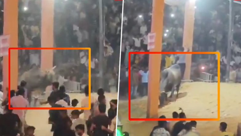 UP: हाथरस दाऊजी मेले में आवारा सांड ने दर्शकों के बीच घुसकर मचाया उत्पात, मानों खुद कुश्ती लड़ना चाहता हो! देखें मजेदार VIDEO