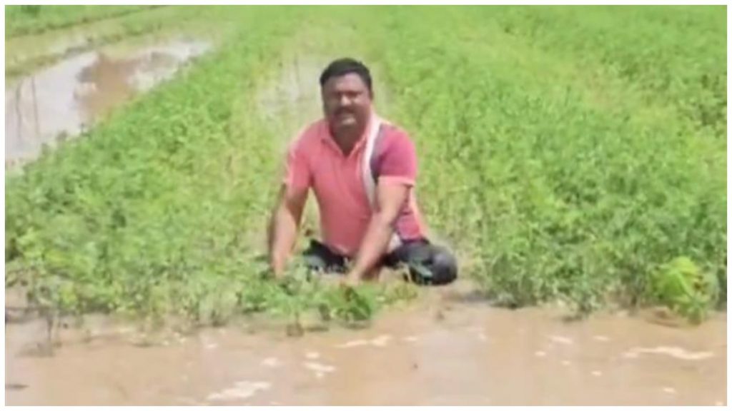 अहिल्यानगर में भारी बारिश से फसलें बर्बाद, किसान ने वीडियो के ज़रिए सरकार से लगाई मदद की गुहार