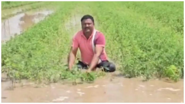 VIDEO: महाराष्ट्र के अहिल्यानगर में भारी बारिश से फसलें बर्बाद, किसान ने वीडियो के ज़रिए सरकार से लगाई मदद की गुहार