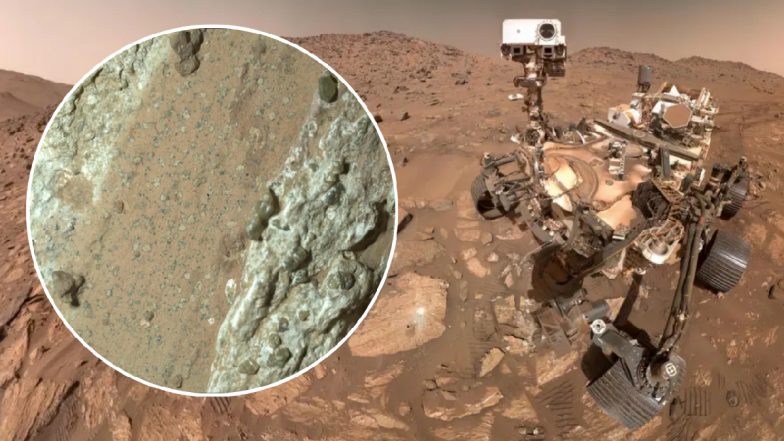 NASA को मंगल ग्रह पर मिला जीवन का अब तक का सबसे बड़ा सबूत, रोवर ने खोजा 'संभावित बायोसिग्नेचर'