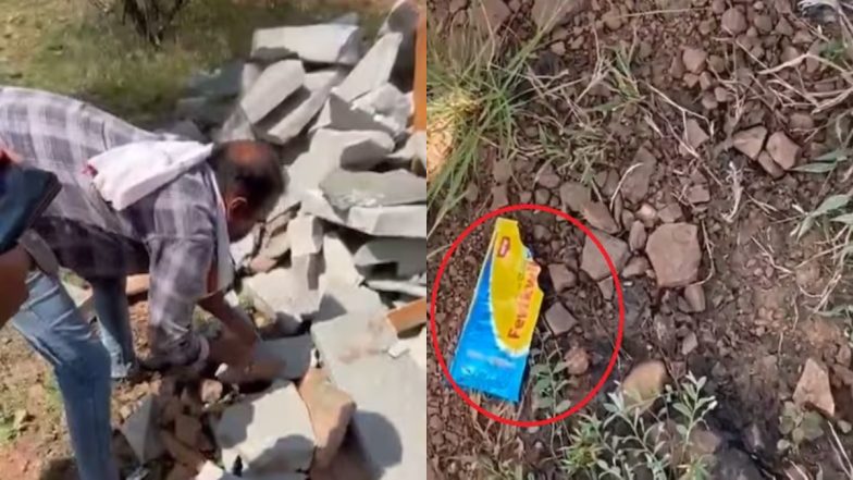 हैवानियत की हदें पार: 10 दिन के बच्चे को पत्थरों के नीचे जिंदा दफनाया, मुंह में पत्थर ठूंसकर चिपकाया
