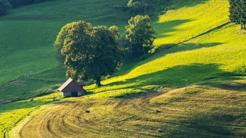 UP Farm Stay Scheme: शहर से सटे गांवों के लिए बेस्ट है 'फार्म-स्टे होम योजना', खेतों में 'घर' बनाकर कमाएं लाखों रुपए! सरकार भी करेगी मदद
