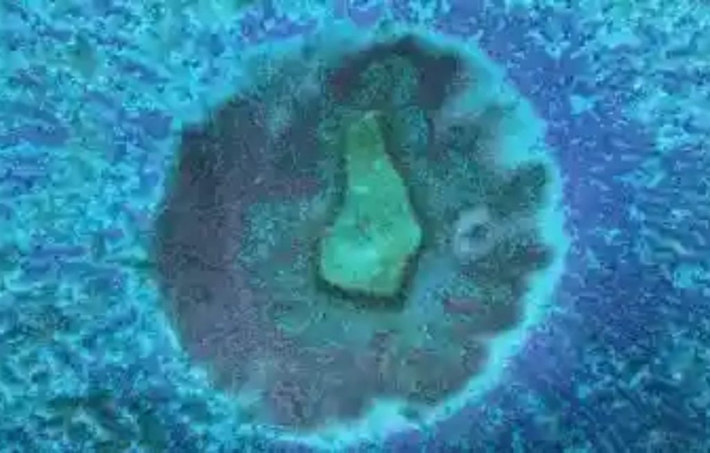 केरल में 'Brain Eating Amoeba' कैसे लोगों की जान ले रहा है?