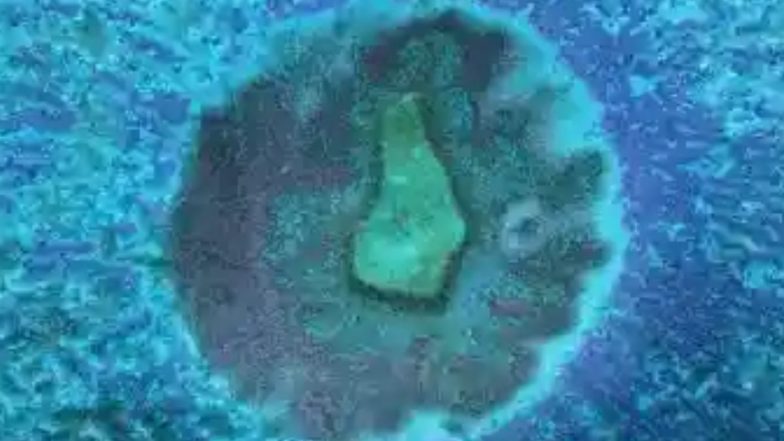 केरल में 'Brain Eating Amoeba' कैसे लोगों की जान ले रहा है? जानें इसके लक्षण और बचाव के तरीके