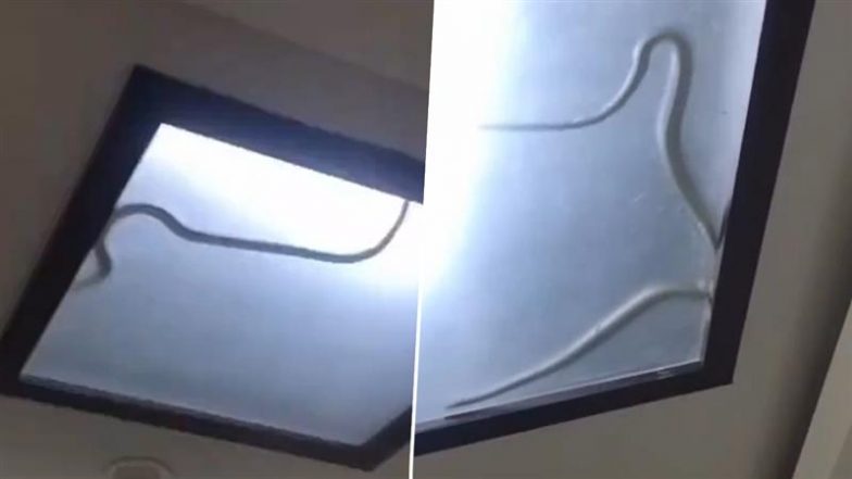 Viral Video: नोएडा के एक घर में फैंसी लाइट में घुसा किंग कोबरा, 36 घंटे की कड़ी मशक्कत के बाद किया गया रेस्क्यू