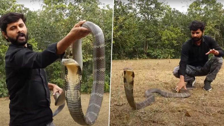Viral Video: किंग कोबरा ने दिखाया अपना खतरनाक अंदाज, रेस्क्यू करने पहुंचे शख्स पर गुस्से में किया अटैक और फिर&hellip;