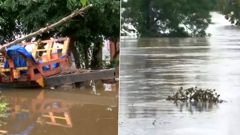 Solapur Flood: महाराष्ट्र के सोलापुर जिले में भारी बारिश, बाढ़ से कई इलाके प्रभावित होने से किसानों को बड़ा नुकसान; देखें VIDEO