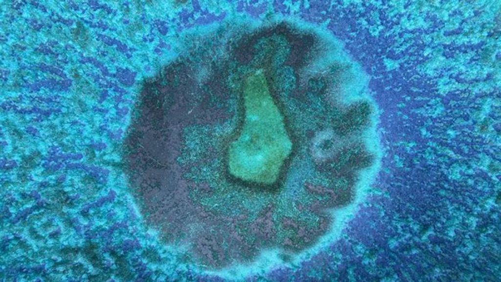 केरल में बढ़ रहे Brain-Eating Amoeba के मामले, पानी से कैसे बॉडी में पहुंच रहा खतरनाक संक्रमण?