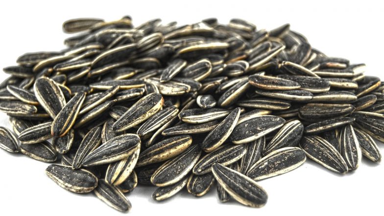 Benefits of Sunflower Seeds: डायबिटीज, मोटापा और दिल की बीमारियों में फायदेमंद सूरजमुखी के बीज, जानिए इसके अनगिनत फायदे