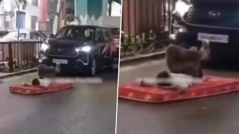 Viral Video: बेंगलुरु में बीच सड़क पर गद्दा बिछाकर सोता दिखा शख्स, लगा ट्रैफिक जाम, लोगों ने की कार्रवाई की मांग