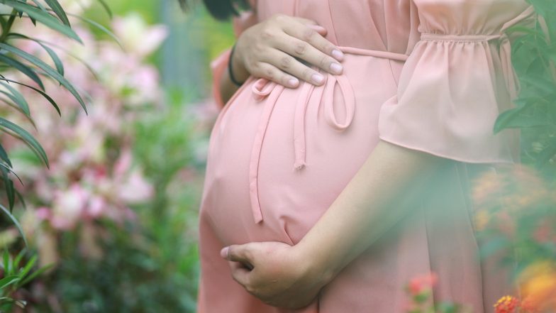 Government Schemes For Pregnant Women: गर्भवती महिलाओं को सरकार दे रही है वित्तीय सहायता, कैसे मिलेगा लाभ? एक क्लिक पर देखें पूरा प्रोसेस