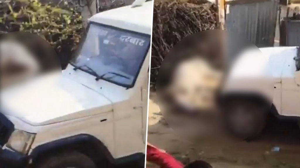 सीकर में क्रूरता की हद, बारात के दौरान बैल ने SUV को पहुंचाया नुकसान, गुस्साए चालक ने बैल को कुचला, VIDEO देख लोग भड़के