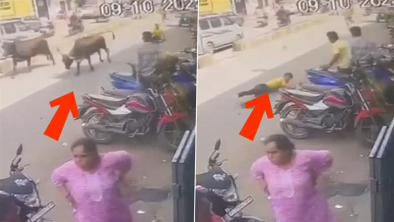 Vadodara: वडोदरा में बेकाबू गाय ने कर्मचारी को बनाया घोड़ा, घसीटते हुए ले गई दूर तक, देखें वीडियो