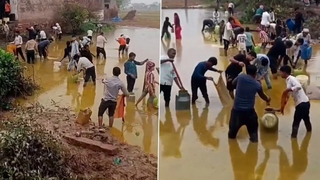 मध्य प्रदेश के मुरैना में तेल से भरा टैंकर पलटा. लोगों ने जमकर लूटा तेल.