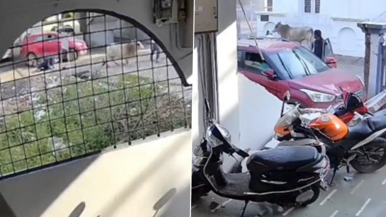 Dewas: बड़ी लापरवाही! नाबालिग को दे दी कार चलाने, उसने पहले बाइक सवार को टक्कर मारी, फिर सामने की दीवार ही गाड़ी से तोड़ डाली, देवास का VIDEO आया सामने