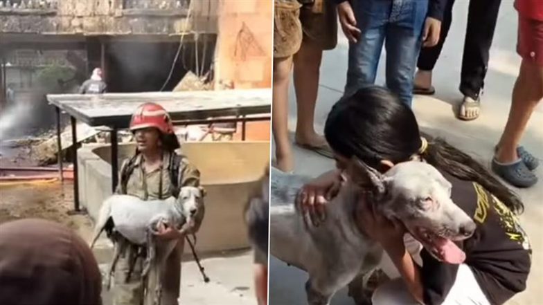 Real Hero: दिल्ली में फायर फाइटर ने अपार्टमेंट में लगी आग से कुत्ते को बचाया, मालिक से मिलवाया, देखें इमोशनल वीडियो