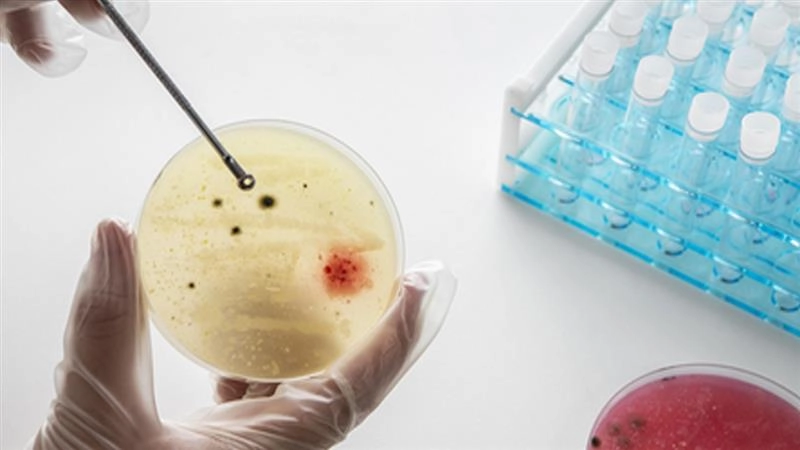 स्टेरॉइड्स से टीबी के मरीजों को मिल सकता है बेहतर इलाज, स्टडी में हुआ बड़ा खुलासा