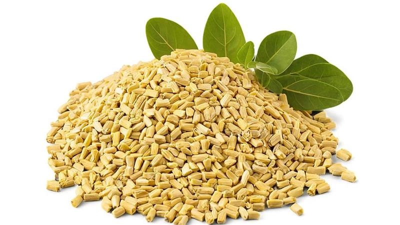 रोज सुबह मेथी का पानी पीने से शरीर में होते हैं चमत्कारी बदलाव, जानिए आयुर्वेद और विज्ञान दोनों की राय