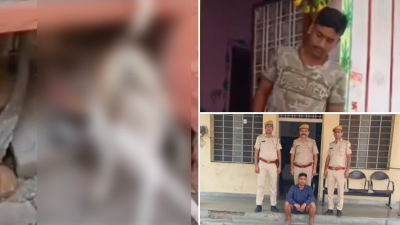 Cruelty to Dog: बेजुबान के साथ बेरहमी! कुत्ते को युवक ने ऐसा मारा की तोड़ डाली कमर, राजस्थान के झालावाड़ का VIDEO आया सामने