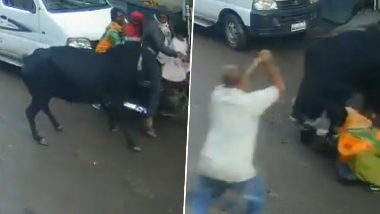 Cow Attack: बाइक से परिवार के साथ जा रही 4 साल की बच्ची पर गाय ने किया हमला, घायल हुई मासूम, नाशिक का वीडियो आया सामने; VIDEO
