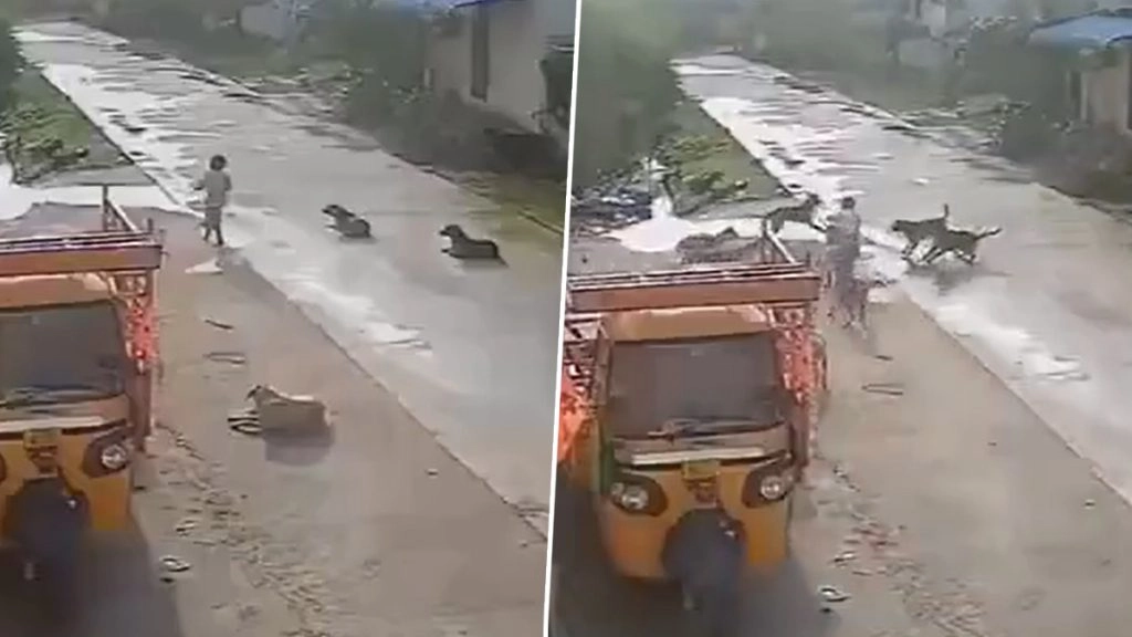 तेलंगाना के हनमकोंडा जिले में कुत्तों ने किया बच्ची पर हमला.