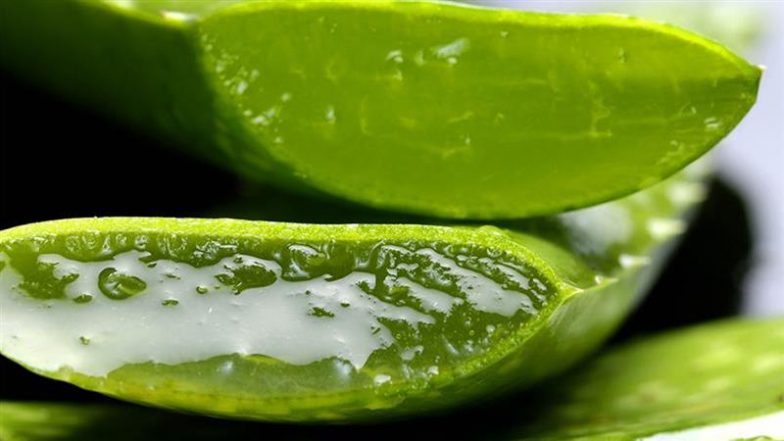 Benefits of Aloe Vera: डायबिटीज से लेकर डाइजेशन तक, एलोवेरा है सेहत के लिए बेहद लाभकारी