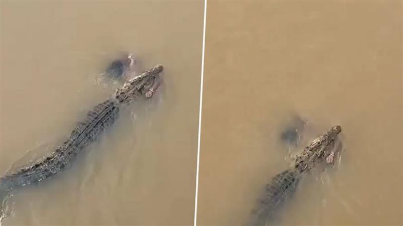 Crocodile Attack in Odisha: ओडिशा के जाजपुर में मगरमच्छ ने महिला को खरासरोता नदी में घसीटा, डरावना वीडियो वायरल