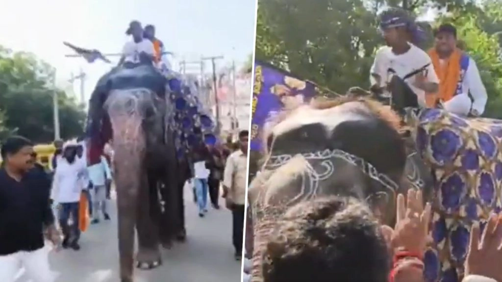 बिहार के चैनपुर विधानसभा के बीएसपी के उम्मीदवार हाथी पर सवार होकर नामांकन दाखिल करने पहुंचे.