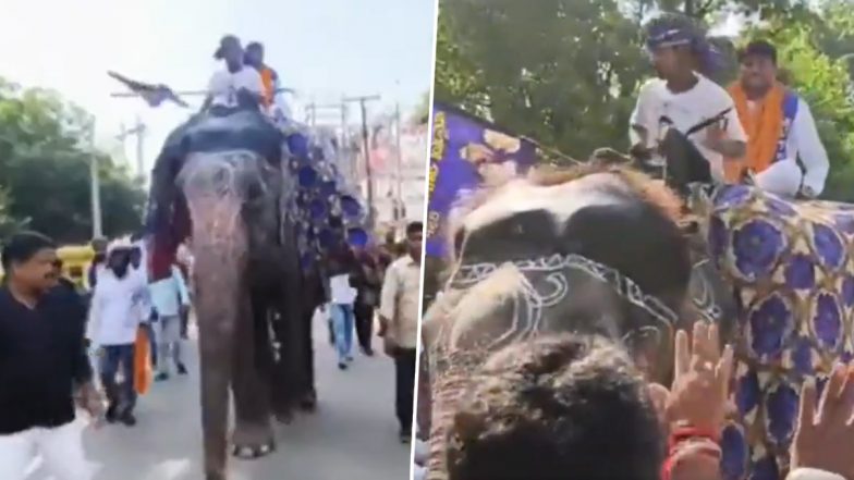 Bihar Election 2025: बिहार में अनोखा प्रदर्शन! BSP पार्टी के प्रत्याशी हाथी पर सवार होकर नामांकन दाखिल करने पहुंचे, चैनपुर का VIDEO आया सामने
