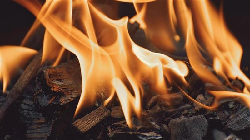 जयपुर के रिसॉर्ट में लगी आग, टेंट जलकर राख, बाल-बाल बचे पर्यटक