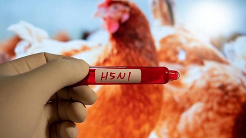 H5N1 Bird Flu: कंबोडिया में तीन साल की बच्ची को हुआ एच5एन1 बर्ड फ्लू, स्वास्थ्य मंत्रालय ने किया पुष्टि