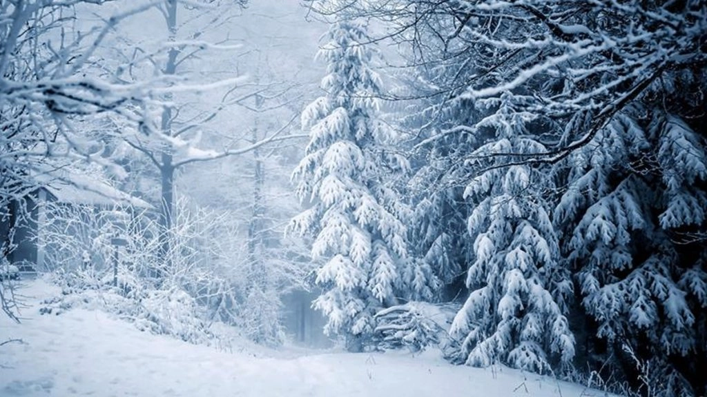 मनाली में हाड़ कंपाने वाली ठंड: आज खिली रहेगी धूप, लेकिन बर्फबारी का करना होगा इंतजार