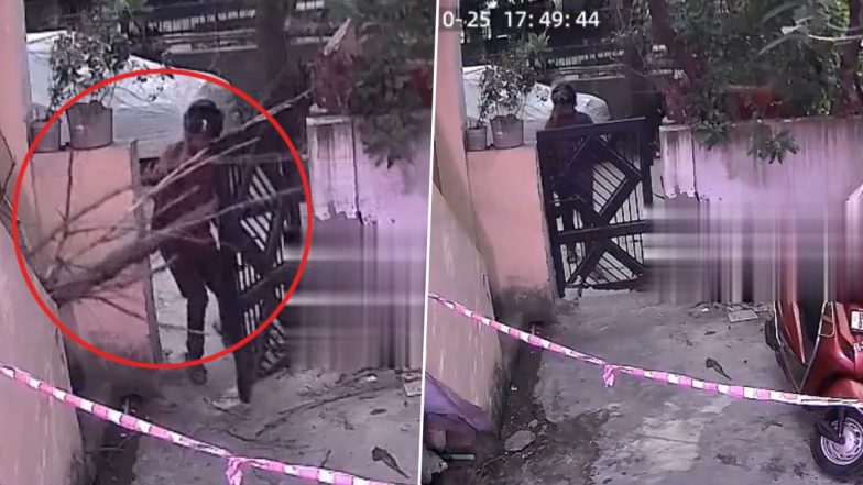 VIDEO: गेट के पास खड़ा था युवक, तभी अचानक गिरा पेड़, हेलमेट पहनने की वजह से बाल बाल बची जान, नोएडा का वीडियो आया सामने