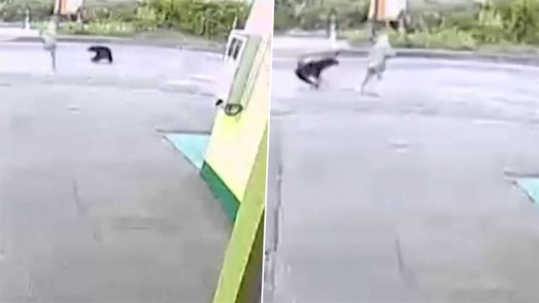 Viral Video: 82 साल की महिला पर भालू ने किया हमला, बाल-बाल बचीं&ndash; देखें हैरान कर देने वाला वीडियो