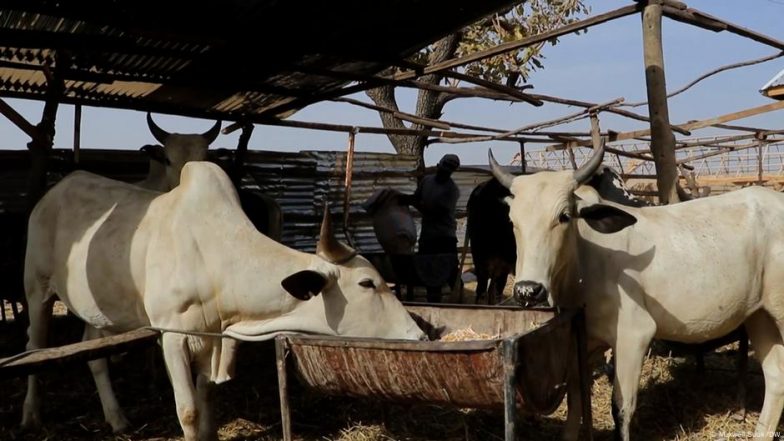 जानवरों की खाल और बाल से बने बायोस्टिमुलेंट्स को अब फसलों में मिलाने पर रोक