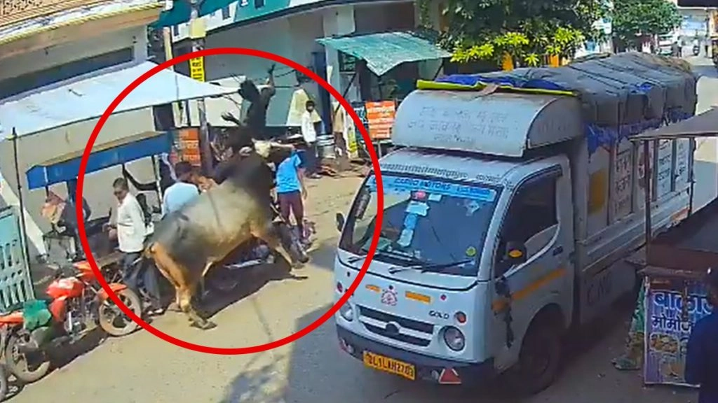 अलीगढ में आवारा सांड के हमले में दो की मौत.