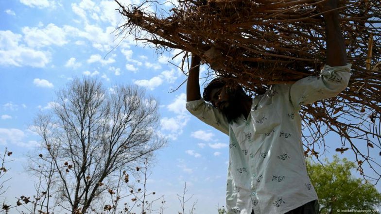 फसल नुकसान जांचे बिना किसानों को मिलेगा बीमा का पैसा?