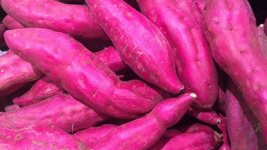 गुणों का खजाना है शकरकंद, सेवन से शरीर रहेगा स्वस्थ