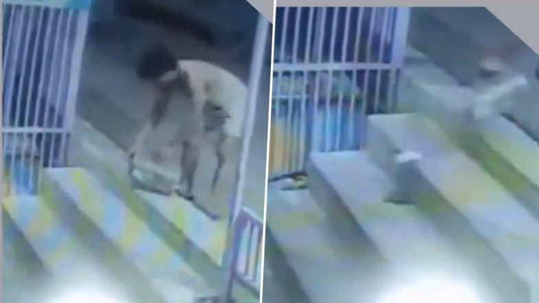 Bulandshahr: पड़ोसी ने की दुश्मनी के चलते शरारत, पिंजरे में बंद चूहों को दुसरे की दूकान में छोड़ा, बुलंदशहर का वीडियो आया सामने; VIDEO