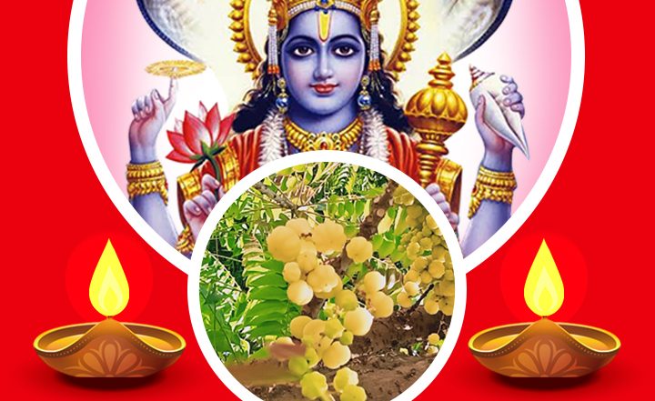 शुभ आंवला नवमी! इन हिंदी Messages, WhatsApp Wishes, Quotes, Facebook Greetings के जरिए दें बधाई