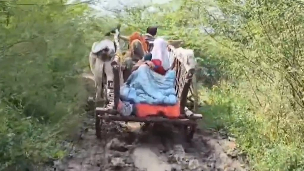 गर्भवती महिला प्रसव पीड़ा से तड़पती रही, एंबुलेंस ड्राइवर ने मदद करने से किया इनकार; परिजन 3 KM दलदल भरे रास्ते से बैलगाड़ी पर लेकर अस्पताल पहुंचे