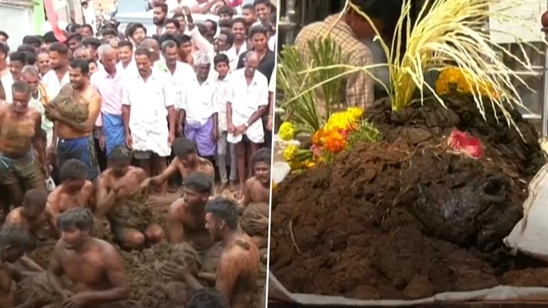 Viral Video: तमिलनाडु में लोगों ने दिवाली का जश्न खत्म करने के लिए एक-दूसरे पर गोबर फेंका