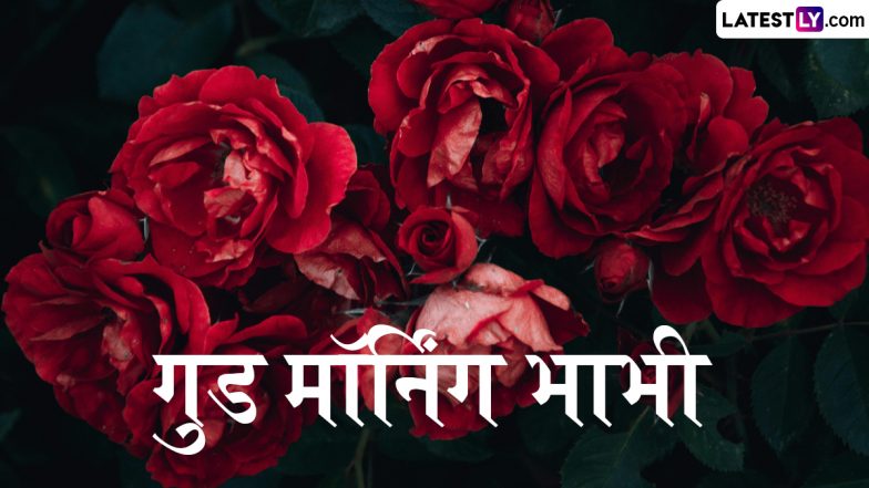 Good Morning Bhabhi Wishes: अपनी प्यारी भाभी से कहें गुड मॉर्निंग, शेयर करें ये शानदार हिंदी WhatsApp Messages, Quotes, Shayaris, GIF Greetings