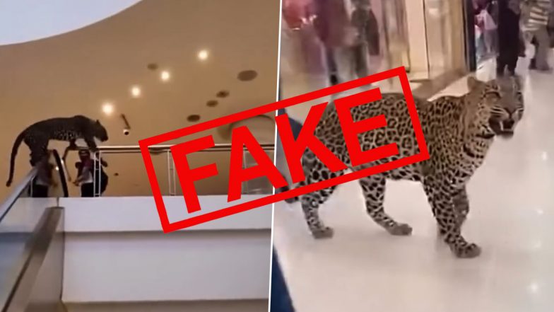 Leopard In Gurgaon Mall - Fact Check: गुरुग्राम के मॉल में घुसा तेंदुआ? जानें VIRAL VIDEO की सच्चाई