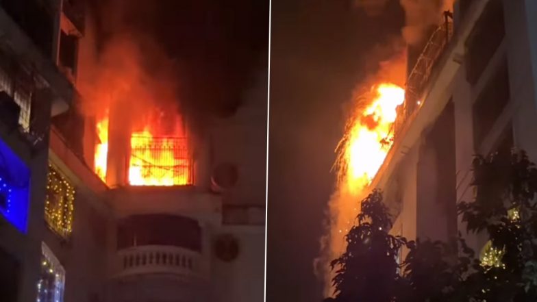 VIDEO: दिवाली के बाद खुशियां बदलीं मातम में, नवी मुंबई के रहेजा रेसिडेंसी में लगी भीषण आग, 6 वर्षीय बच्ची सहित 4 लोगों की मौत, 10 घायल