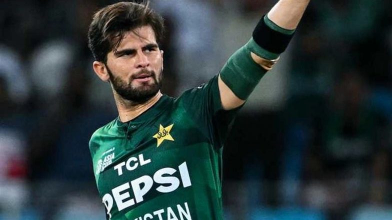 Shaheen Afridi PAK New ODI Captain: शाहीन शाह अफरीदी बने पाकिस्तान के नए वनडे कप्तान, मोहम्मद रिजवान की छुट्टी, क्या टी20 की भी मिलेगी जिम्मेदारी?