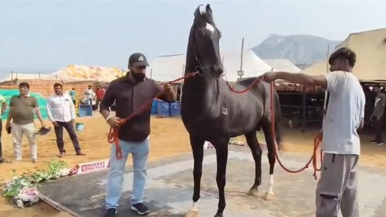 Pushkar Mela 2025: पुष्कर मेले में ‘शाहबाज’ नाम के घोड़े की कीमत 15 करोड़ रुपए, जानें क्या है इसकी खासियत?