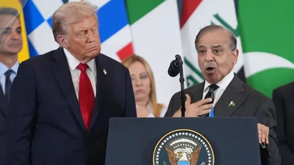 'ट्रंप ने रुकवाई भारत-पाक जंग', मिस्र में बोले पाक PM  